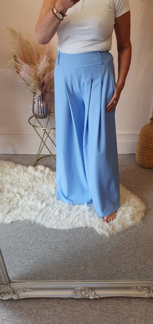 Pleated Front Wide Pant - Blue
