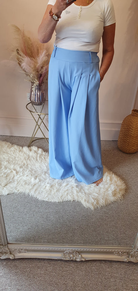 Pleated Front Wide Pant - Blue